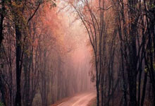 爱游戏娱乐-绿茵魔术师！狼堡神锋戴帽撕破黑夜，三记重炮点燃冠军野望