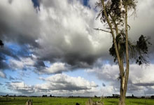 爱游戏体育-欧文：阿尔梅里亚炼狱里飞出金凤凰