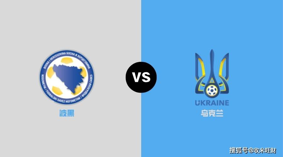 波黑客场大胜芬兰,小组出线希望增加 波黑客场大胜芬兰,小组出线希望增加