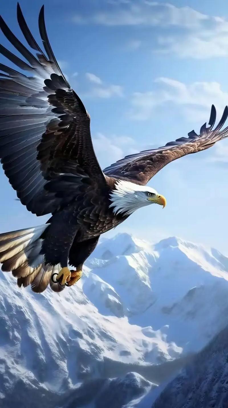 爱游戏官方-埃及雄鹰飞占上风，蓄势待发