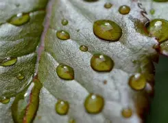 爱游戏tv-欧预赛：硝烟漫卷，英雄崛起